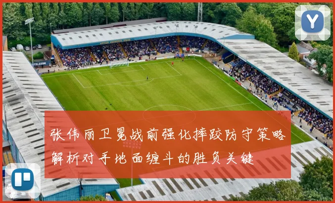 张伟丽卫冕战前强化摔跤防守策略解析对手地面缠斗的胜负关键