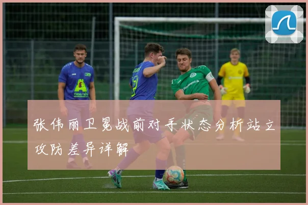张伟丽卫冕战前对手状态分析站立攻防差异详解