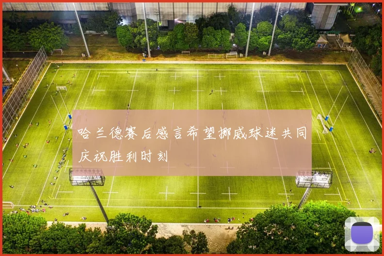 哈兰德赛后感言希望挪威球迷共同庆祝胜利时刻